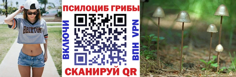 Галлюциногенные грибы мицелий  Николаевск-на-Амуре 